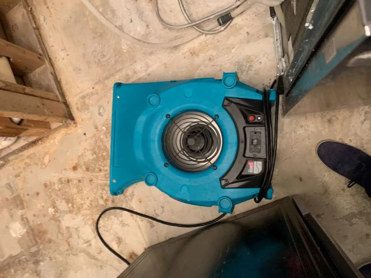 Air mover drying equipment for Mold Remediation & Removal in Hermosa Beach
